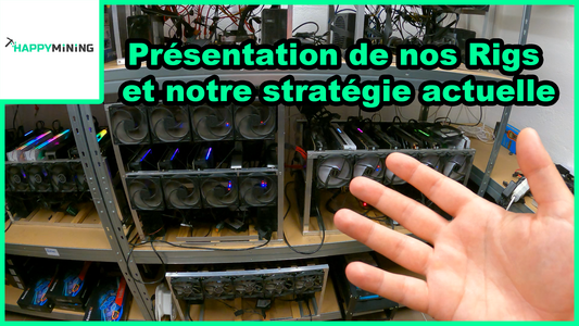 On mine toujours ! Présentation de notre petite ferme et notre stratégie actuelle.