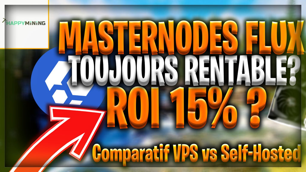 FLUX Masternodes: Still Profitable? 15% ROI? VPS vs. Self-Hosted Comparison 