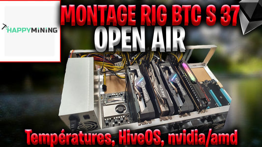 Montage Rig BTC-S37 (temp, hiveos, etc.)